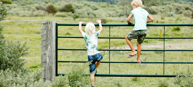 Kinderen klimmen en klauteren