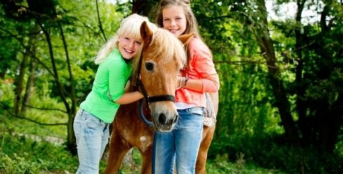 Kinderboerderijen & dierenparken in 't Gooi 