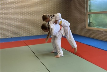 Judo en kickboksen