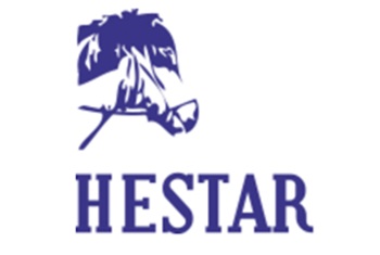 Paardenfeestje bij Hestar