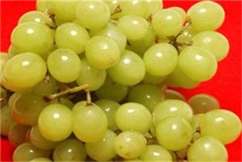 Verfrissende druifjes
