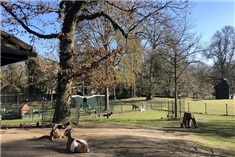 Spelen in de Kabouterhoek, naar de diertjes, de vogels en hertjes voeren bij Stadsboerderij de Hout