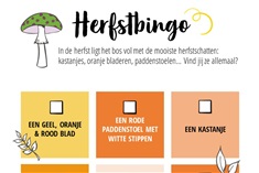 Herfstbingo! Vind jij ze allemaal?