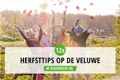 12x de leukste herfsttips op de Veluwe
