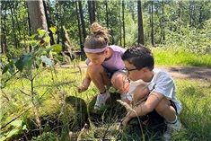 De leukste natuurspeurtochten rondom de Veluwe