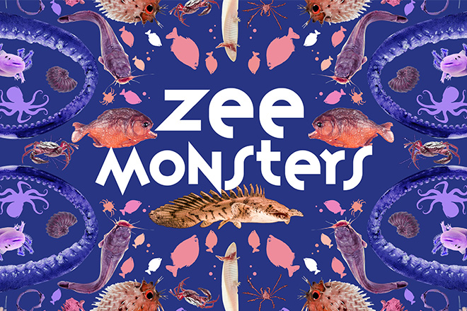 Museumfabriek - zeemonsters