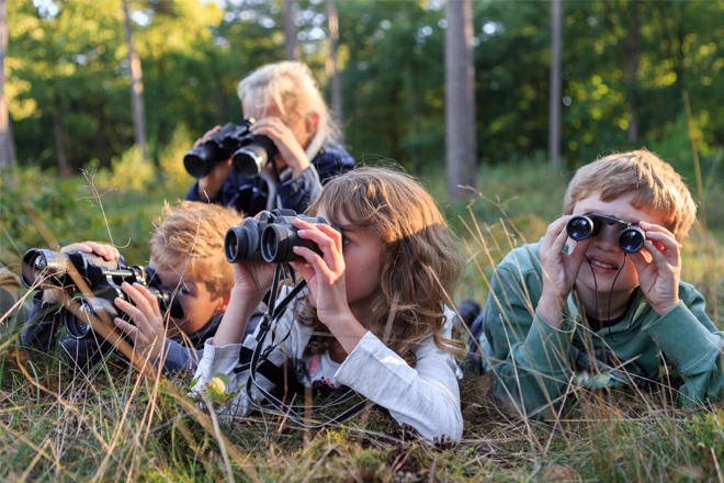 Natuurbeleving - Het Nationale Park De Hoge Veluwe