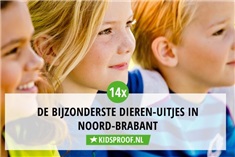 14x De bijzonderste dieren-uitjes in Noord-Brabant voor kids!