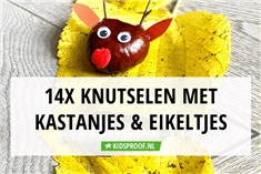 14x herfstknutselen met eikeltjes en kastanjes 