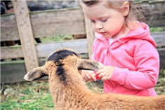 6x de leukste kinderboerderijen in en om Den Bosch!