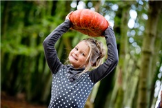 8x Leuke plekjes om pompoenen te kopen!