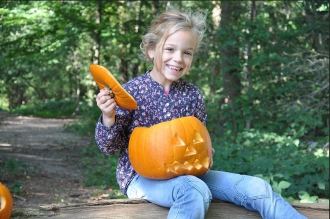 Kanon houder steen Pompoen adresjes in Zuid Holland | Kidsproof Den Haag