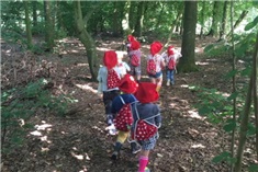 10x leuke natuurwandelingen in Eindhoven en omgeving!
