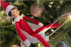The Elf on the Shelf 