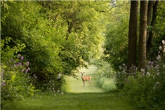 De leukste natuurparken in Flevoland!