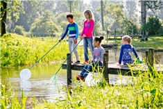 8x de leukste natuurplekjes in Flevoland
