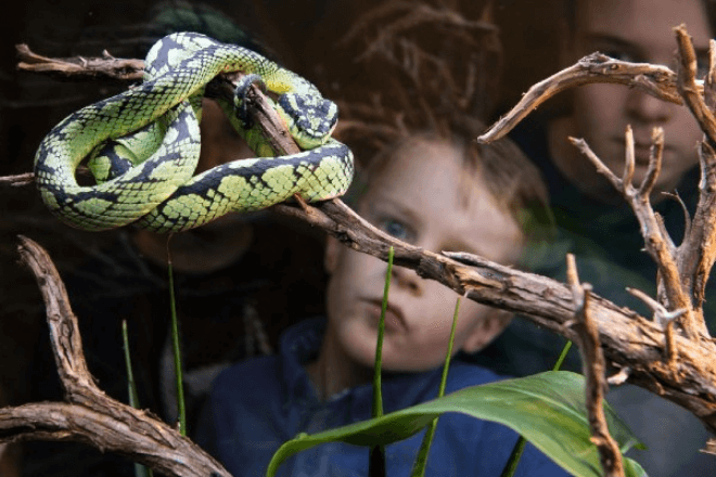 Superleuke kindermusea in Nederland