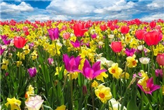 35 tips voor een fijne Hemelvaart in Friesland