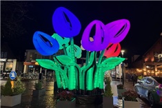 Licht op Drachten: lichtkunstwerken te zien t/m 3 december!