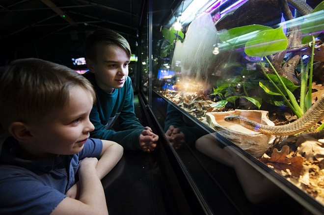 GIF Natuurmuseum Friesland
