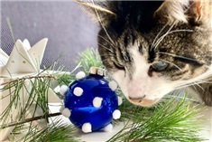 21x creatief met kerstballen