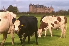 De leukste boerderijwinkels in 't Gooi en omstreken!