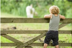 Top 5 kinderboerderijen in 't Gooi