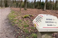15x Wandelroutes voor het hele gezin in 't Gooi