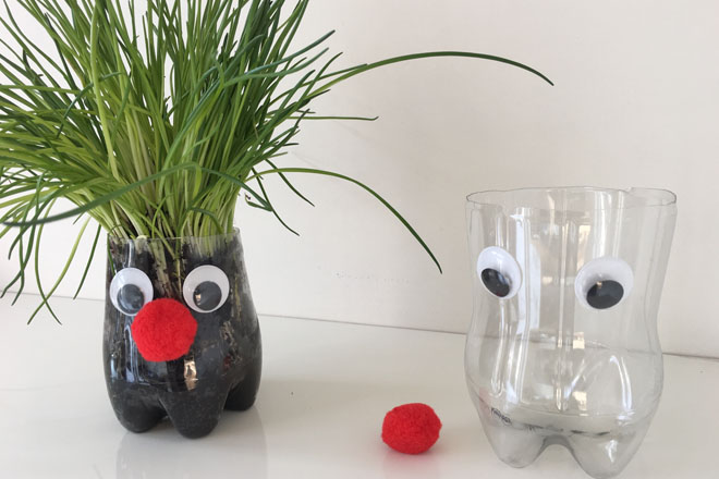 kruidenplantje in een zelfgemaakt plantenbakje