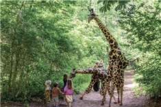 Familie Zomer Zondagen Caprera 