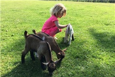 5x Dierenuitjes met kinderen in regio Leiden