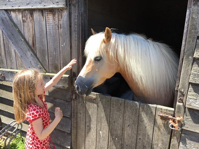 Leuke tips voor ponymeisjes en paardenfans | Kidsproof