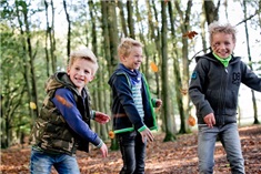 7 leuke boswandelingen met kinderen in de regio Rotterdam