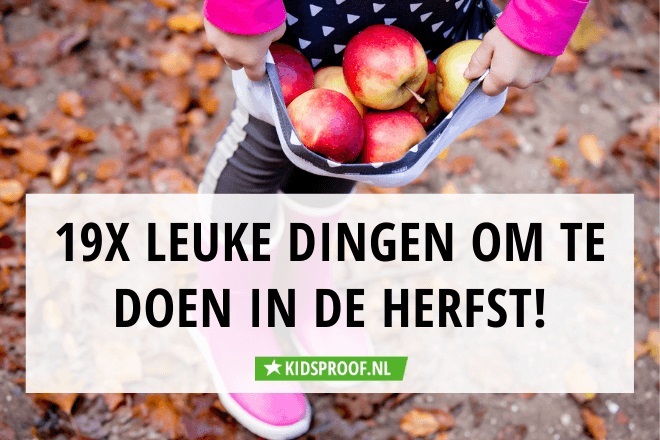 Herfst! Deze dingen zijn nu leuk om te doen met de | Kidsproof Rotterdam