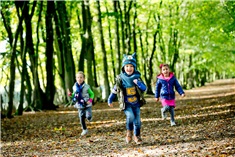 De 10 leukste boswandelingen met kinderen in Twente