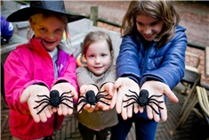 De leukste Halloween activiteiten met kids in Twente