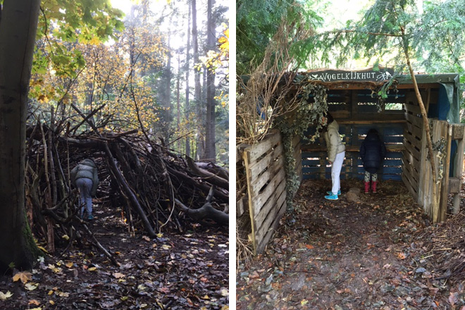 boswerf zeist natuurbos boswandeling