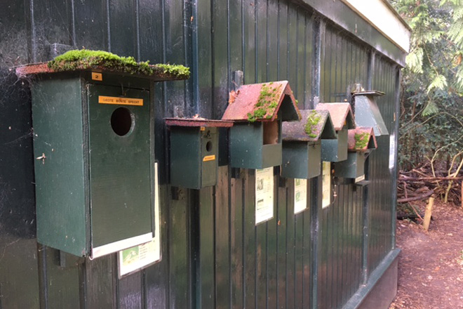 boswerf zeist natuurbos spelen