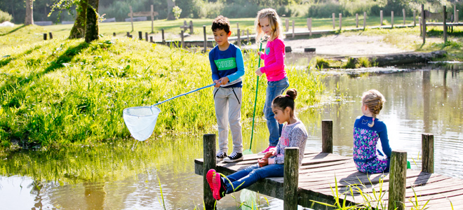 top 50 leuke kinderuitjes