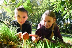 Beleef, bewonder en geniet in de Beleefweek