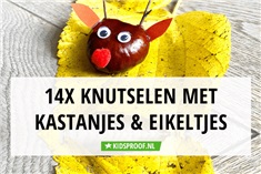 14x herfstknutselen met eikeltjes en kastanjes 