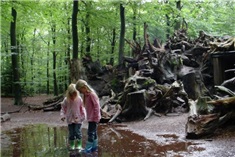 12x De leukste bos- en natuurwandelingen voor de kids in en om Zwolle