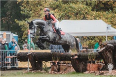 Paardenliefhebbers opgelet! Molecaten ruiterdag komt eraan met veel Kidsproof activiteiten!