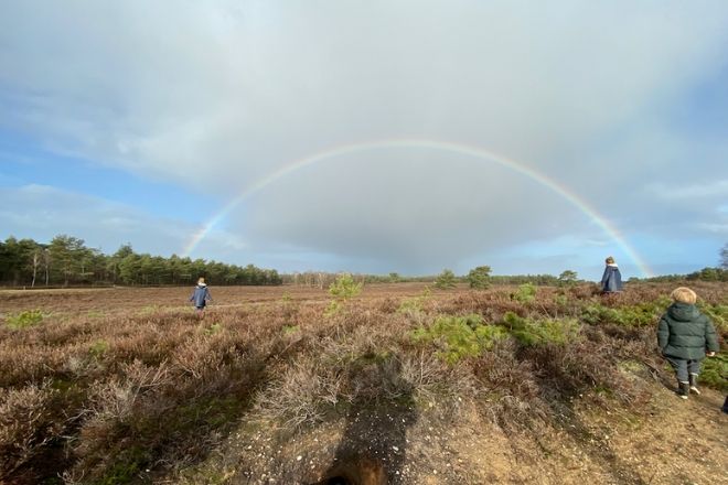 Vuursteenberg bos