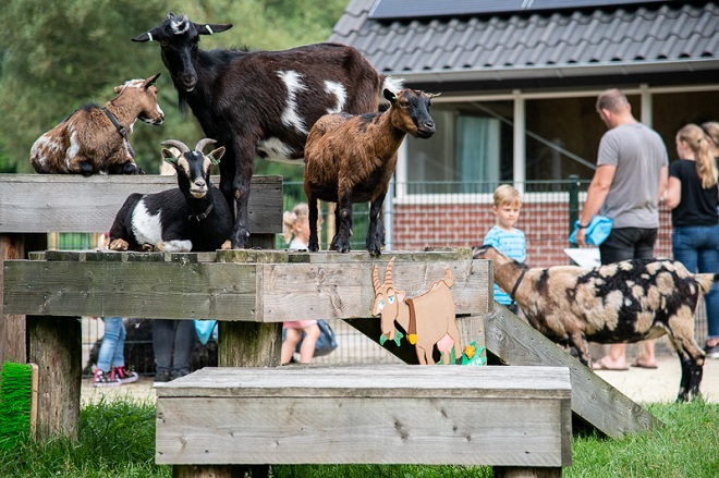 Kinderboerderij de Bongelaar