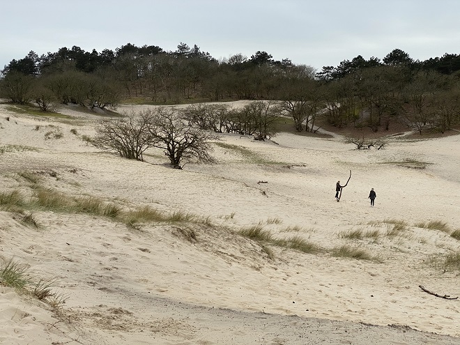 Duinen Egmond aan Zee