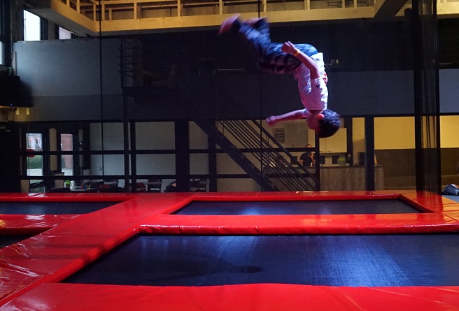 Freestyle Motion