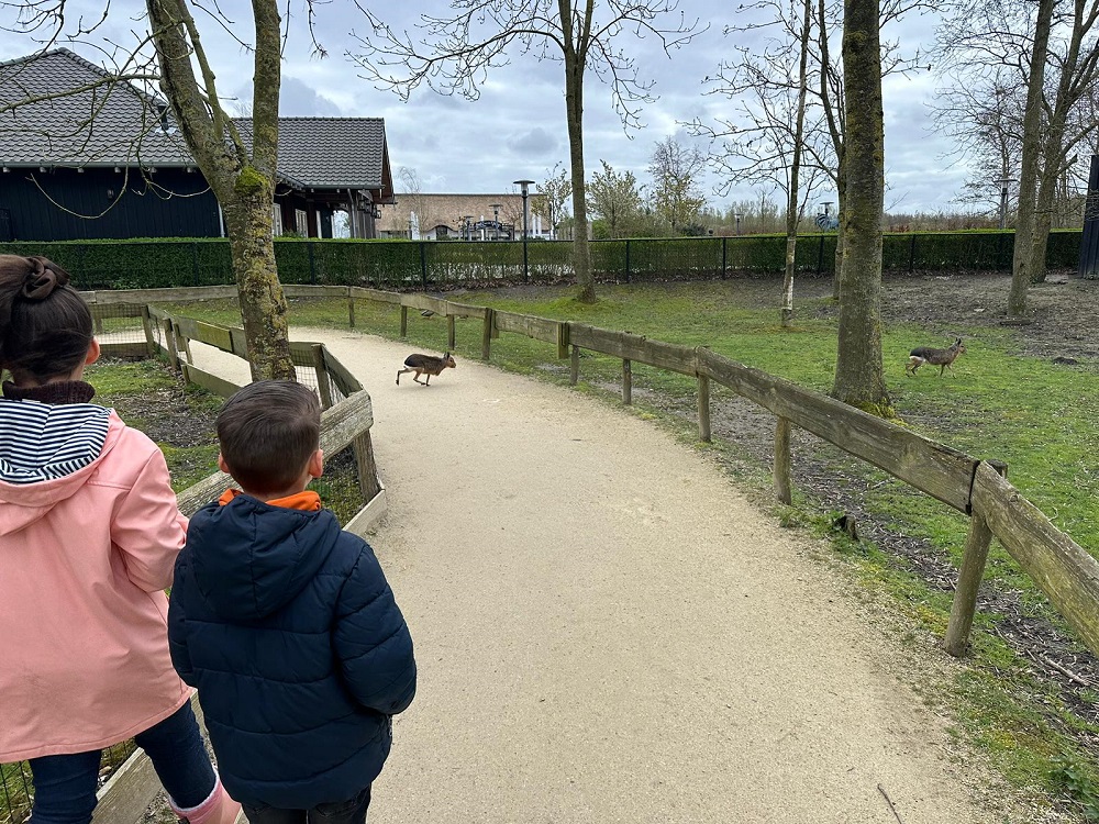 Dierenpark Hoenderdaell