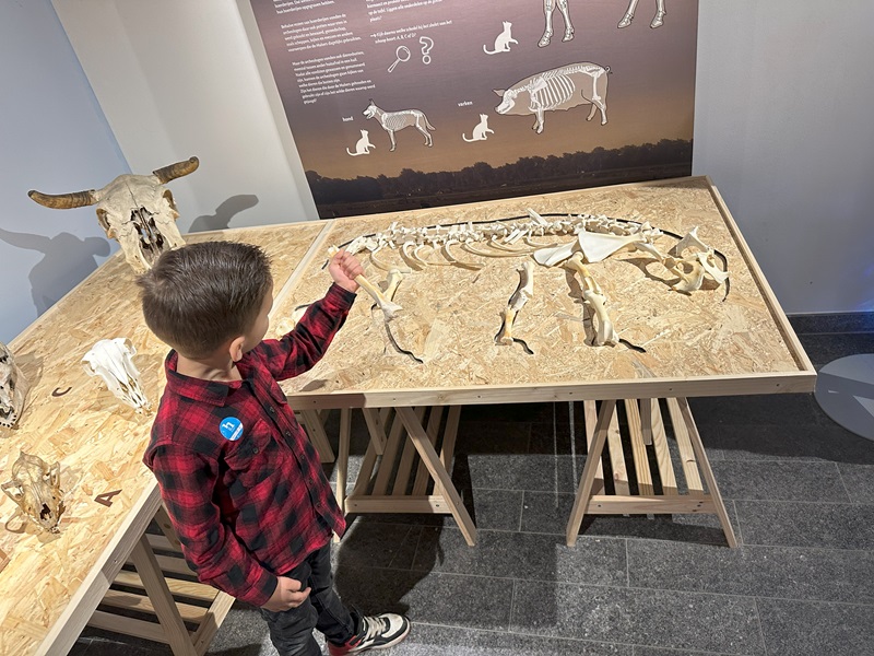 Huis van Hilde puzzelen met botten