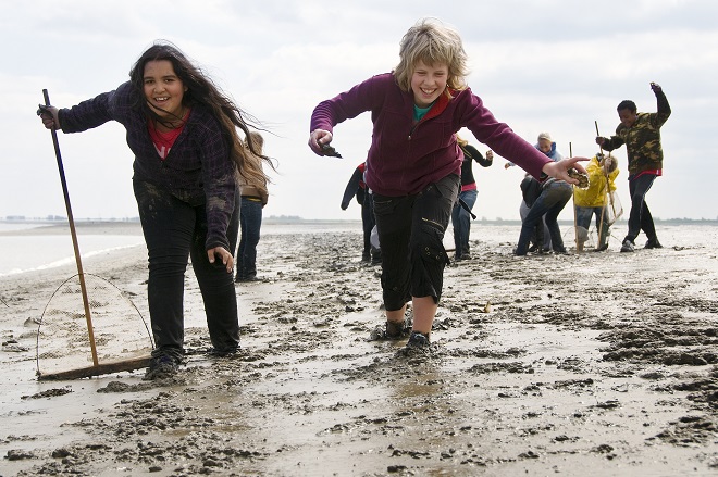 Balgzand wadlopen